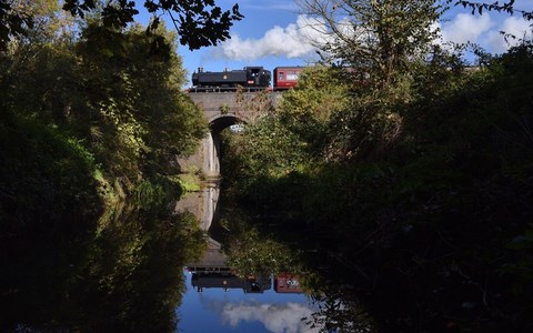 The Celandine Route